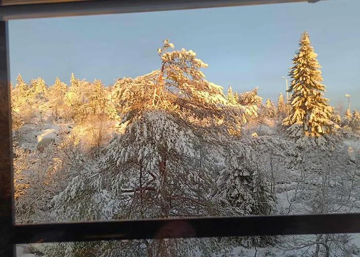 Huipuntupa B7 דירה